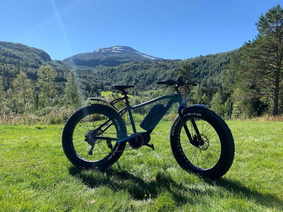 Rongastovo 2* Voss