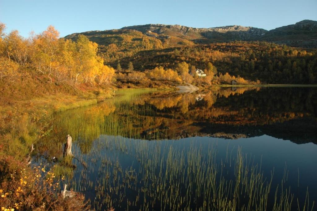 Gjestgiverier Fjellstove Rongastovo Voss